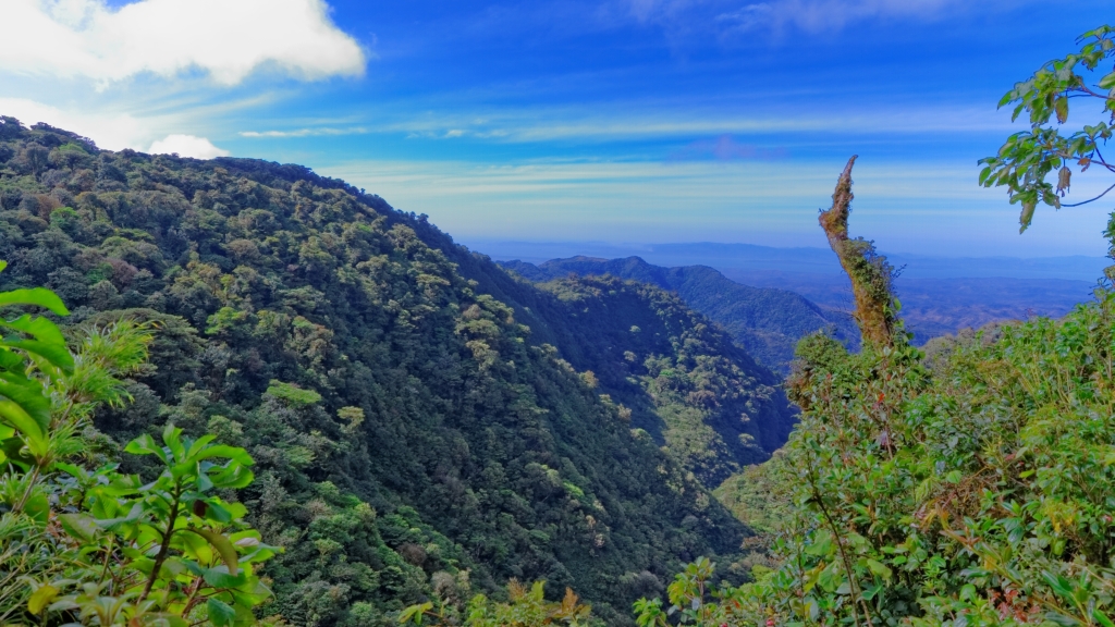 07 - Monterverde (02).jpg